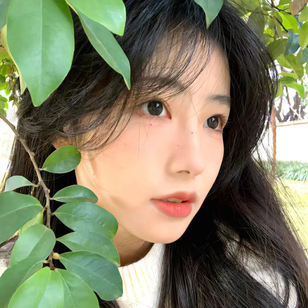 堡垒第一季